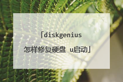 diskgenius怎样修复硬盘 u启动