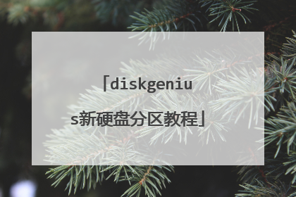 diskgenius新硬盘分区教程