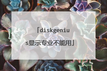 diskgenius显示专业不能用