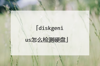 diskgenius怎么检测硬盘