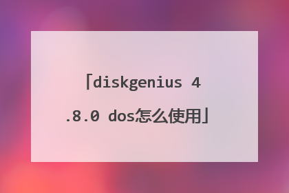 diskgenius 4.8.0 dos怎么使用