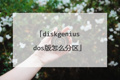 diskgenius dos版怎么分区