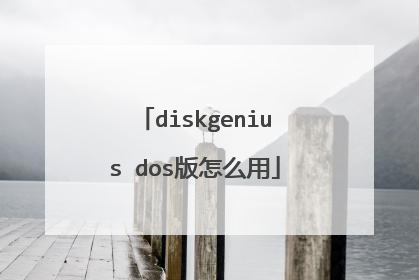 diskgenius dos版怎么用
