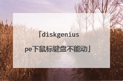 diskgenius pe下鼠标键盘不能动