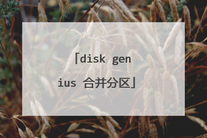 disk genius 合并分区