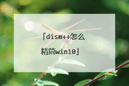 dism++怎么精简win10