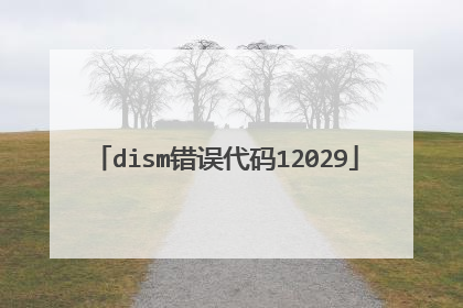 dism错误代码12029