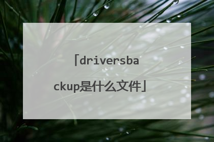 driversbackup是什么文件