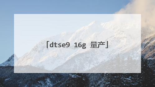 dtse9 16g 量产