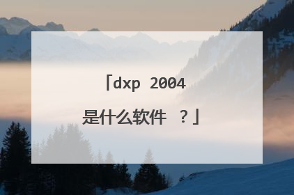 dxp 2004 是什么软件 ?