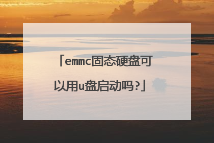 emmc固态硬盘可以用u盘启动吗?