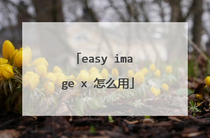 easy image x 怎么用
