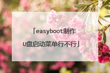 easyboot制作U盘启动菜单行不行