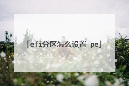 efi分区怎么设置 pe