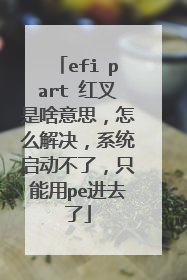 efi part 红叉是啥意思，怎么解决，系统启动不了，只能用pe进去了