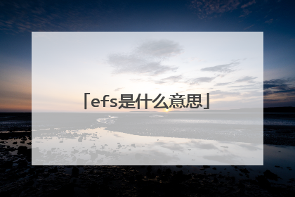 efs是什么意思