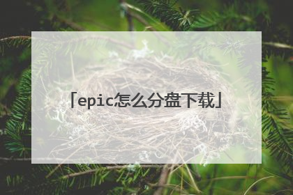 epic怎么分盘下载