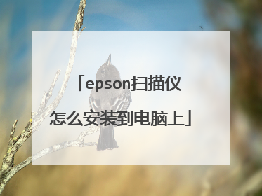 epson扫描仪怎么安装到电脑上