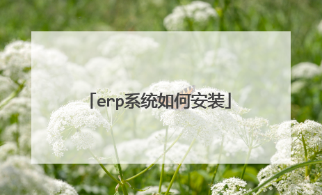 erp系统如何安装
