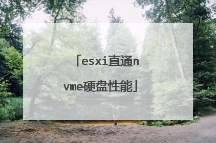esxi直通nvme硬盘性能