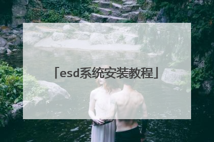 esd系统安装教程