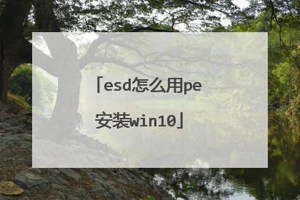 esd怎么用pe安装win10