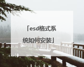 esd格式系统如何安装