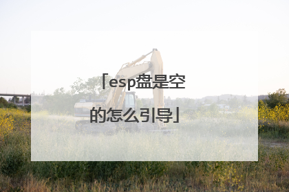 esp盘是空的怎么引导