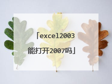 excel2003能打开2007吗