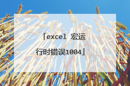 excel 宏运行时错误1004