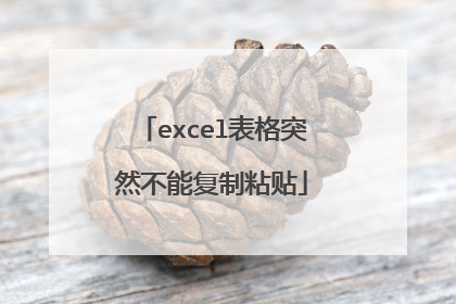 excel表格突然不能复制粘贴