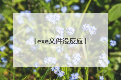 exe文件没反应