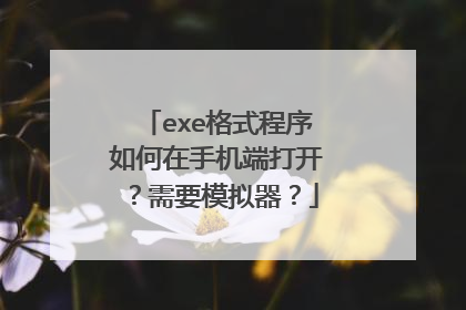 exe格式程序如何在手机端打开?需要模拟器?