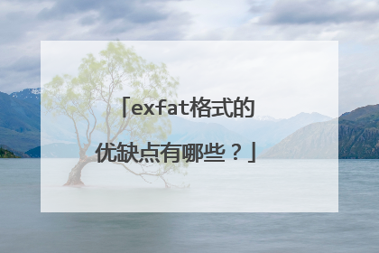 exfat格式的优缺点有哪些?