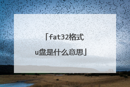 fat32格式u盘是什么意思