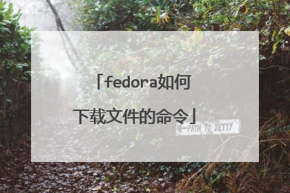 fedora如何下载文件的命令