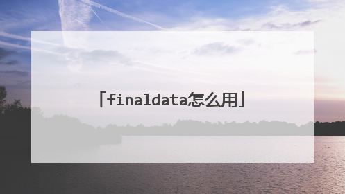 finaldata怎么用