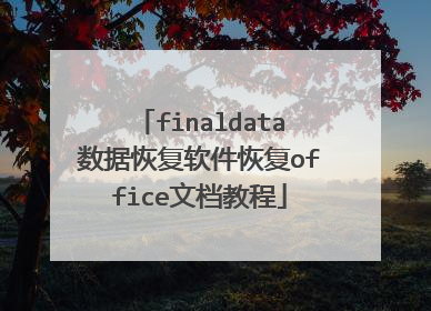 finaldata数据恢复软件恢复office文档教程