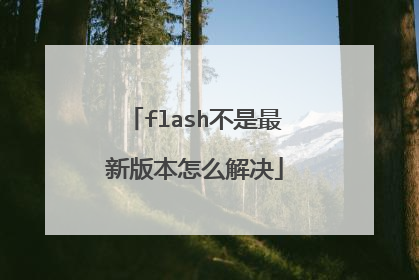 flash不是最新版本怎么解决