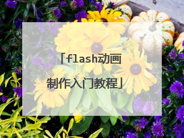 flash动画制作入门教程