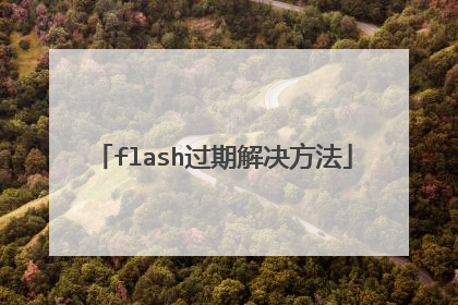 flash过期解决方法