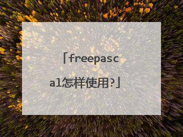 freepascal怎样使用?