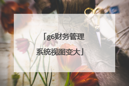 g6财务管理系统视图变大
