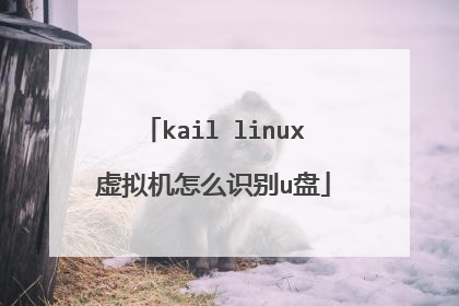 kail linux虚拟机怎么识别u盘