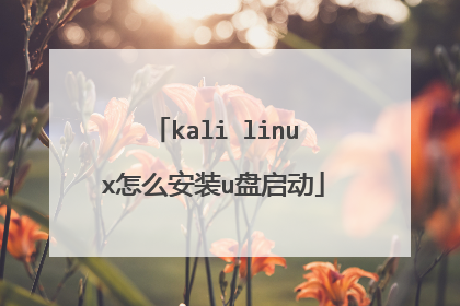 kali linux怎么安装u盘启动
