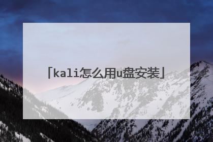 kali怎么用u盘安装
