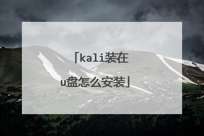 kali装在u盘怎么安装