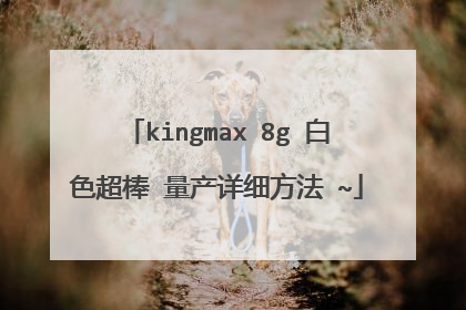 kingmax 8g 白色超棒 量产详细方法 ~