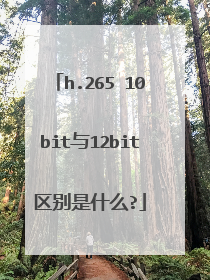 h.265 10bit与12bit区别是什么?