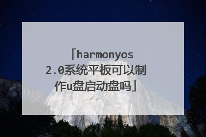 harmonyos2.0系统平板可以制作u盘启动盘吗